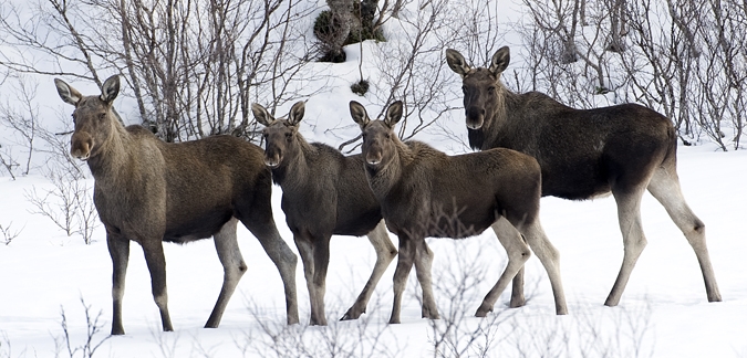 Photo by Marten Bril for Visit Norway